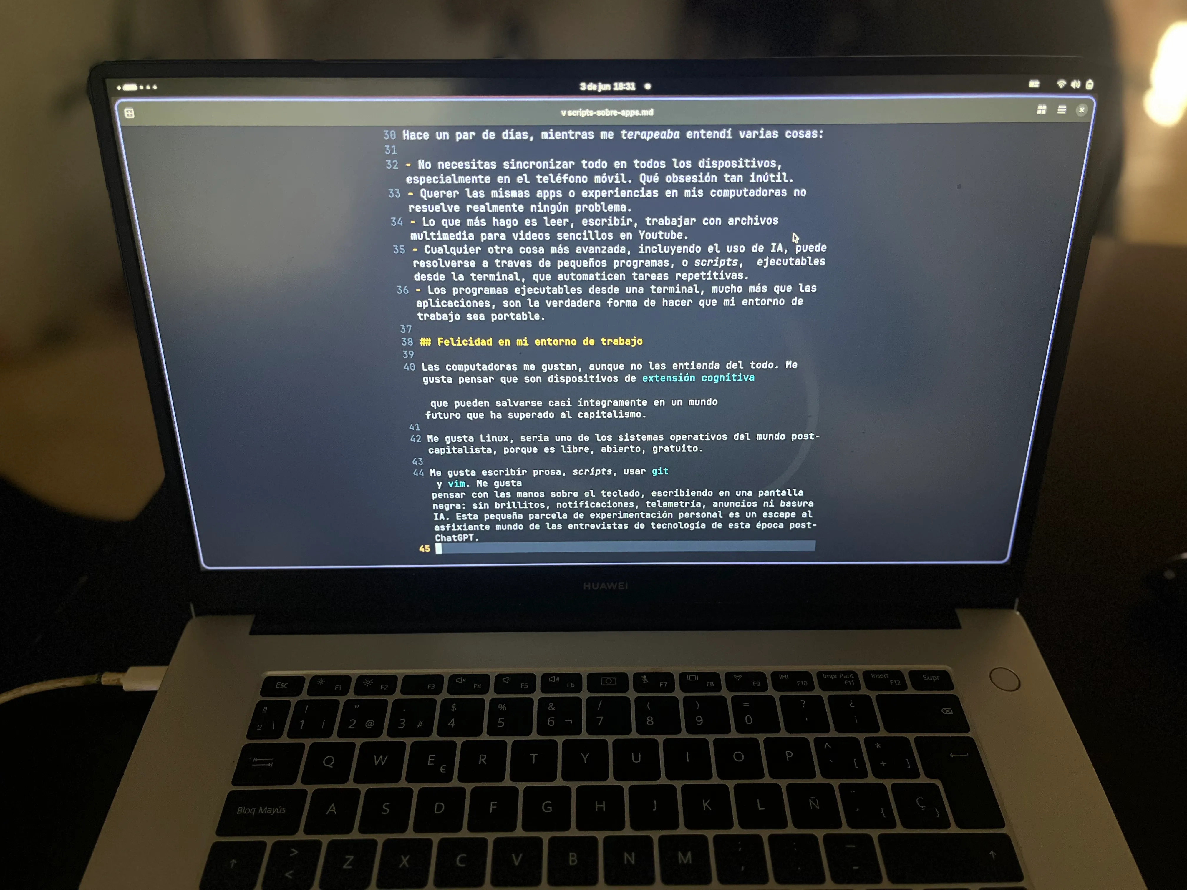 Escribiendo en Neovim